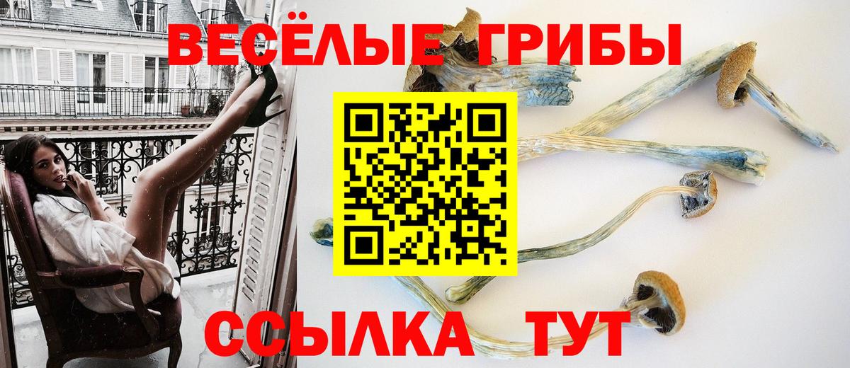Краснокамск  Псилоцибиновые грибы мухоморы  Вход с VPN 
