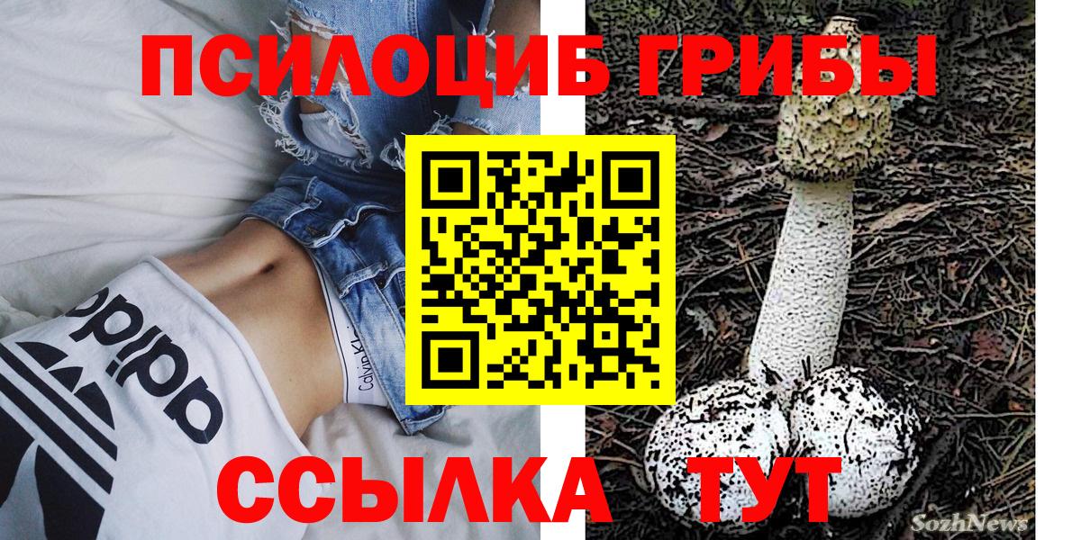 Псилоцибиновые грибы MAGIC MUSHROOMS Краснокамск